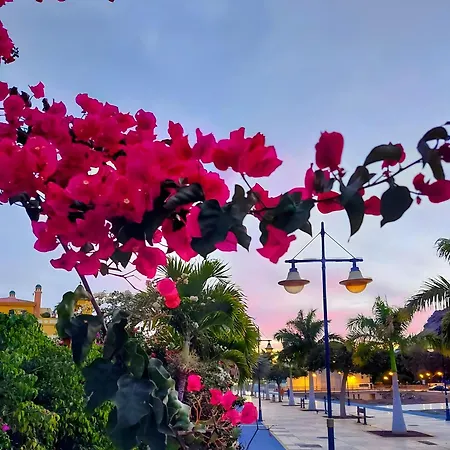 Vv Estrella * Puerto De Mogan